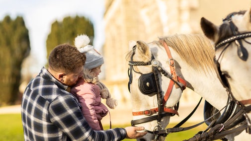 Visitors stroking the horses at Christmas time at Castle Ward